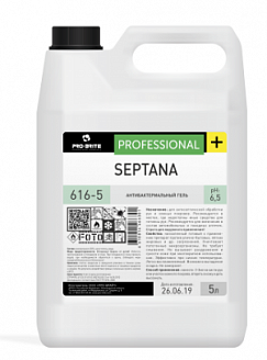 Septana Антисептик для рук (Ph6,5) (5л гель (канистра HDPE)/4/1)